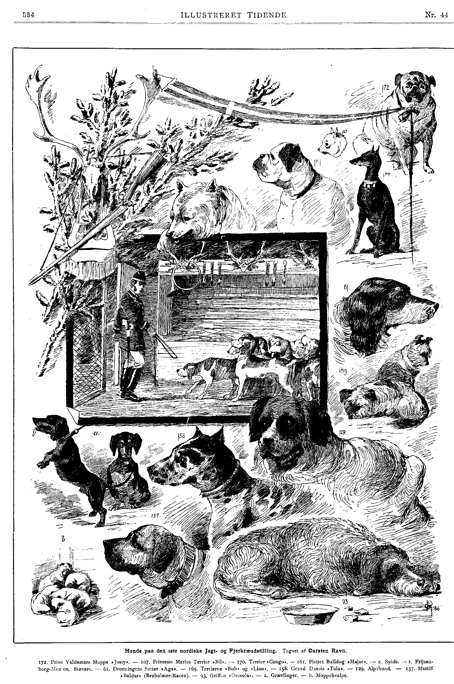Den danske hund illustrede tidende 1886.jpg