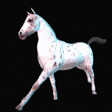 Hvid Hest Galop.gif